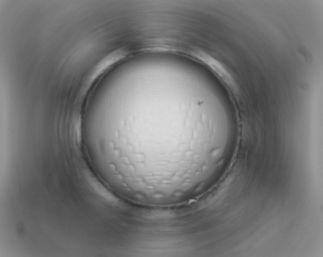 X0000114001238200910161702