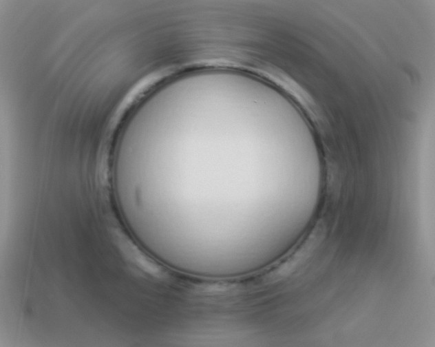 X0000114001240200910161702