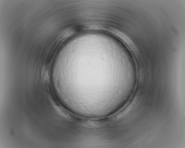 X0000114001241200910161702