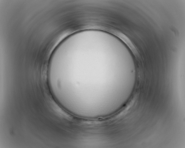 X0000114001244200910161702