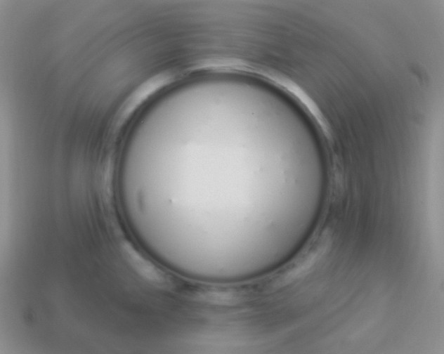 X0000114001245200910161702