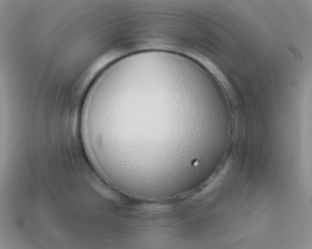 X0000114001246200910161702