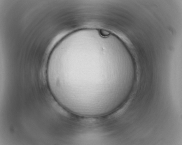 X0000114001248200910161702