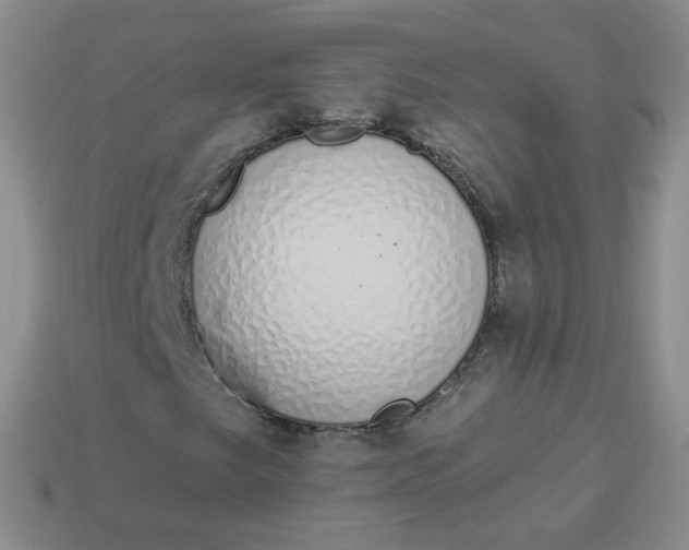 X0000114001249200910161701