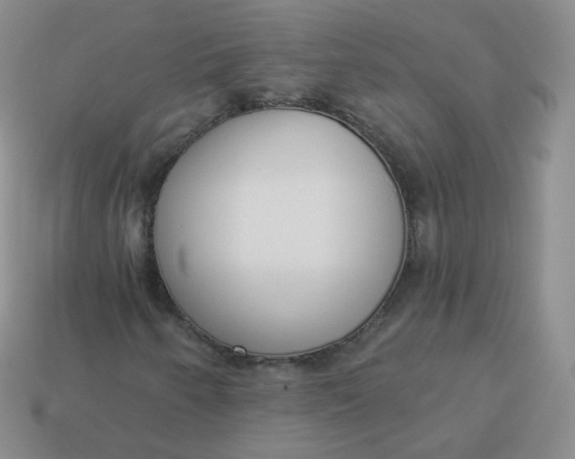 X0000114001250200910161701