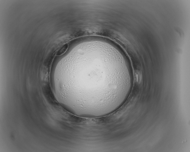 X0000114001251200910161701