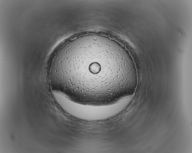X0000114001256200910161701