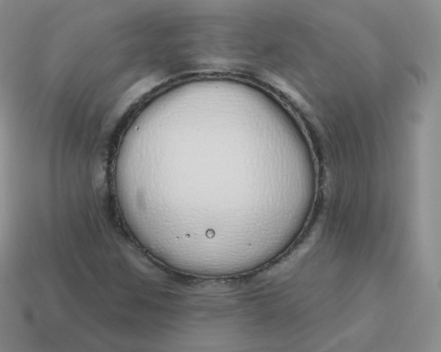 X0000114001259200910161701