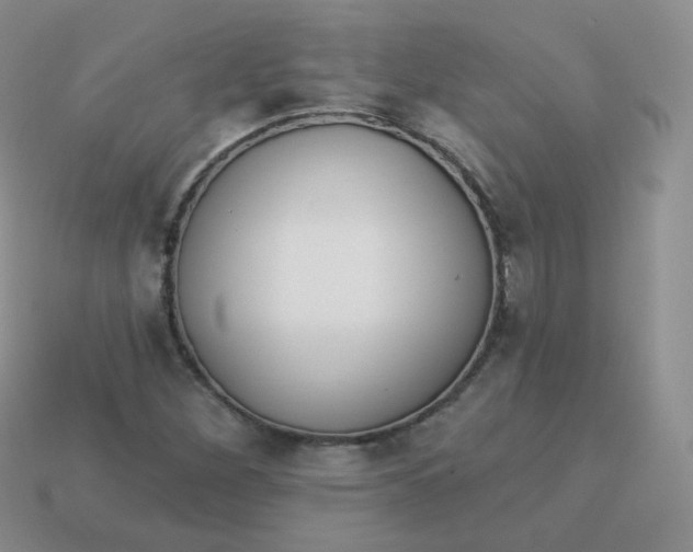 X0000114001260200910161701