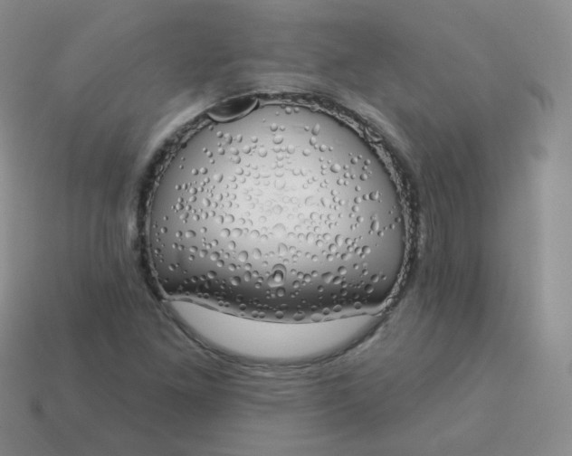 X0000114001261200910161701