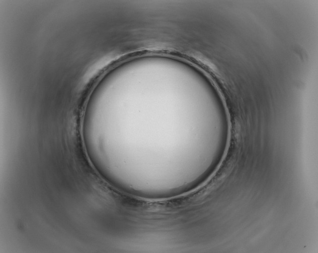 X0000114001263200910161701