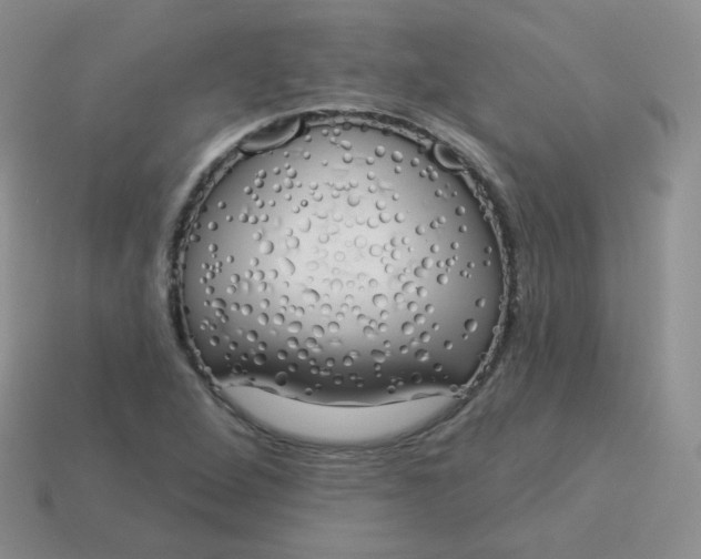 X0000114001264200910161701