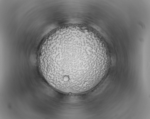 X0000114001266200910161701