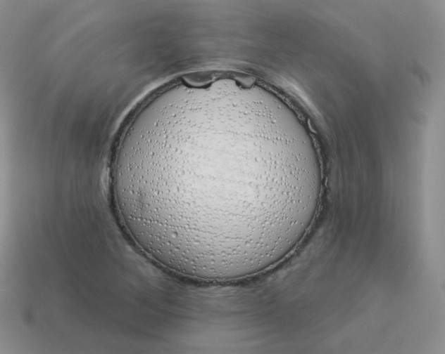 X0000114001268200910161701