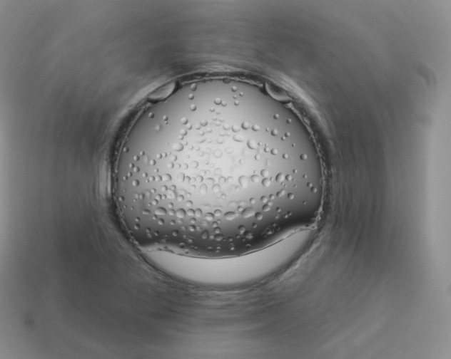 X0000114001269200910161701