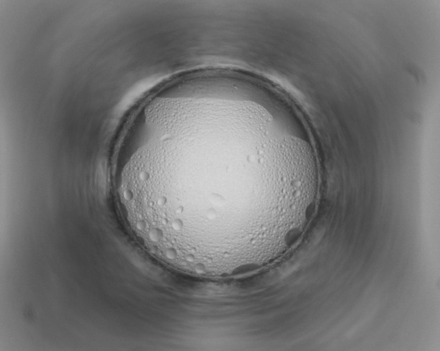 X0000114001271200910161701