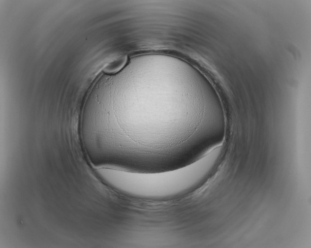 X0000114001273200910161701