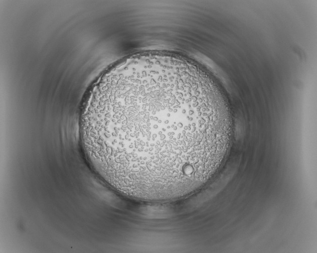 X0000114001274200910161701