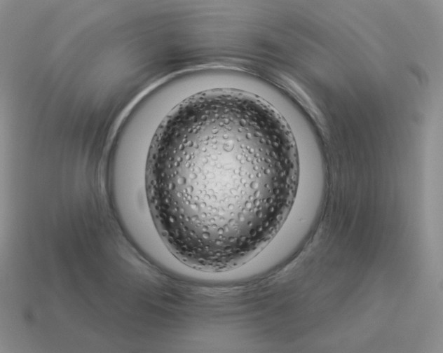 X0000114001276200910161701