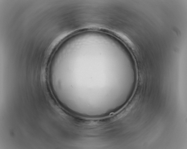 X0000114001279200910161701