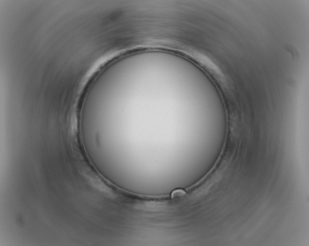 X0000114001280200910161701