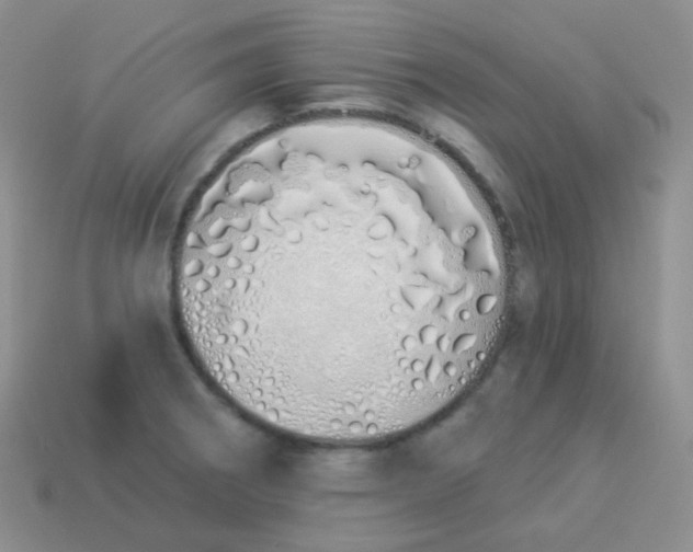 X0000114001282200910161701
