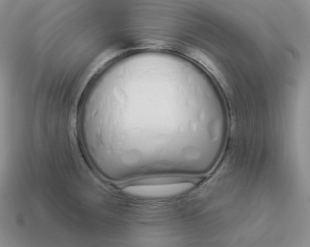 X0000114001283200910161701