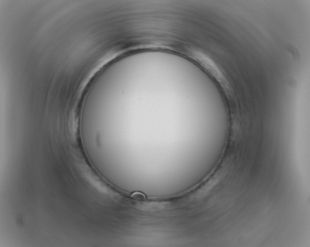 X0000114001284200910161701