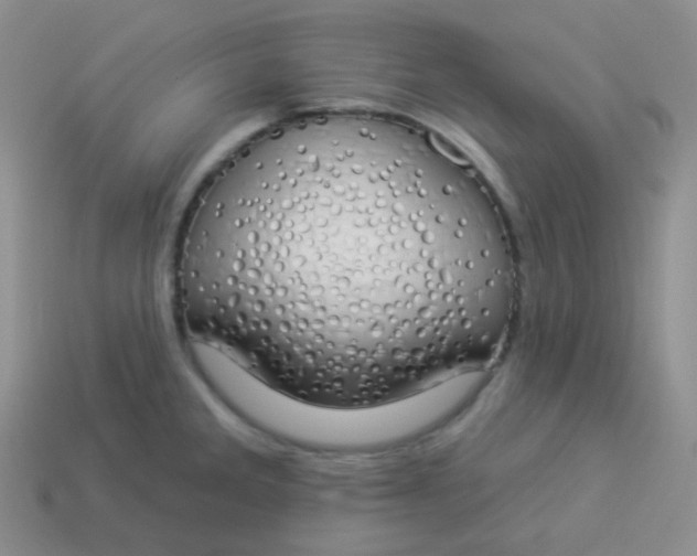 X0000114001285200910161701