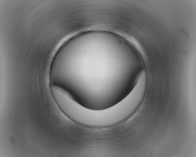 X0000114001288200910161701