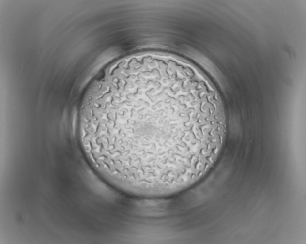 X0000114001290200910161701