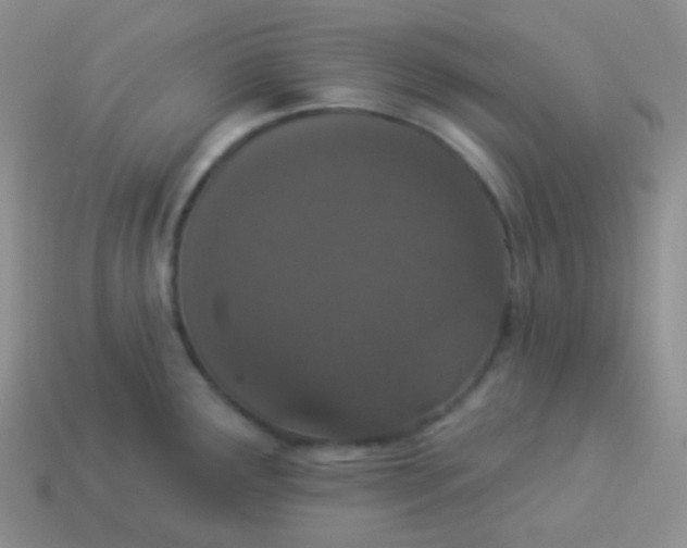 X0000114001291200910161701