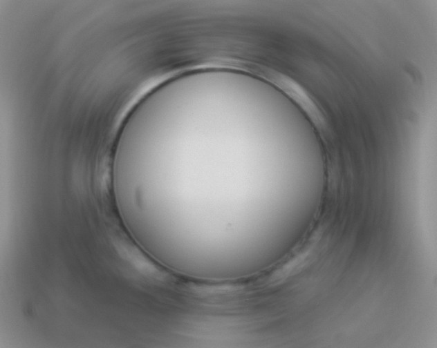 X0000114001292200910161701