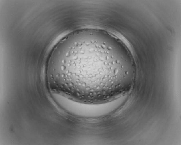 X0000114001293200910161701