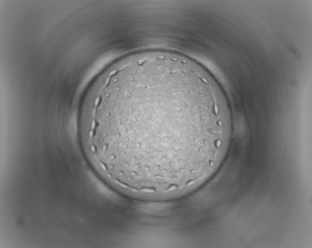 X0000114001294200910161701