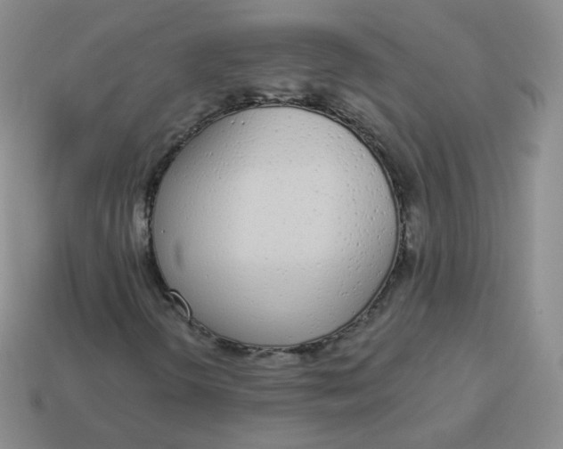 X0000114001298200910161700