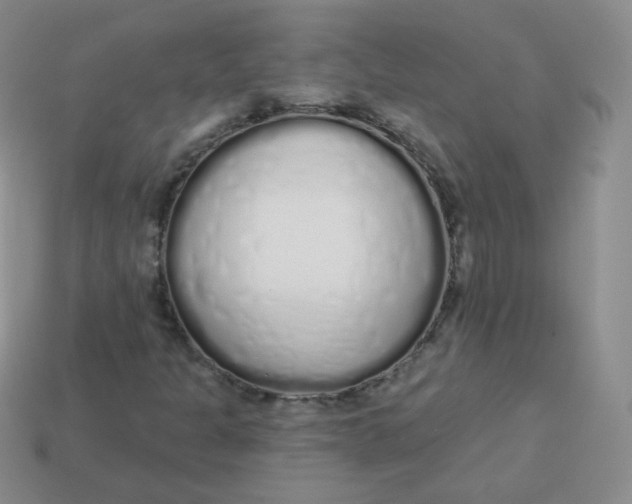 X0000114001301200910161700