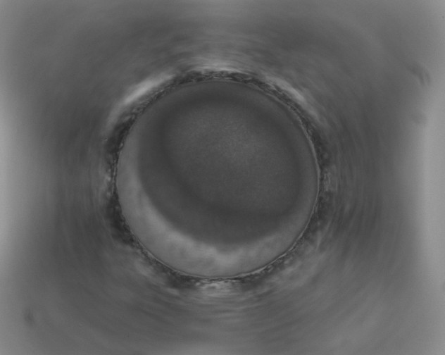 X0000114001303200910161700