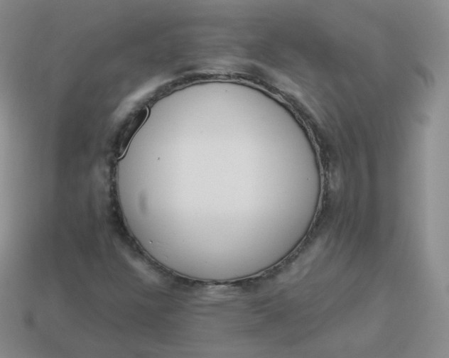 X0000114001304200910161700