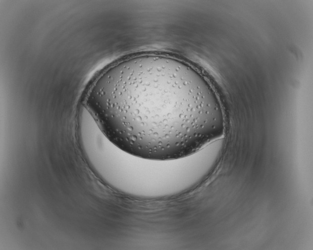 X0000114001308200910161700
