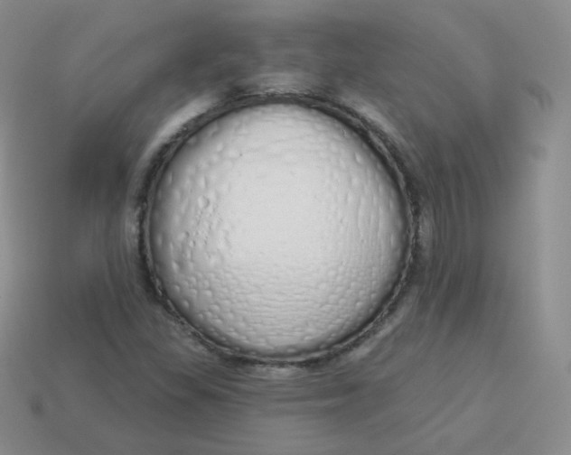 X0000114001309200910161700
