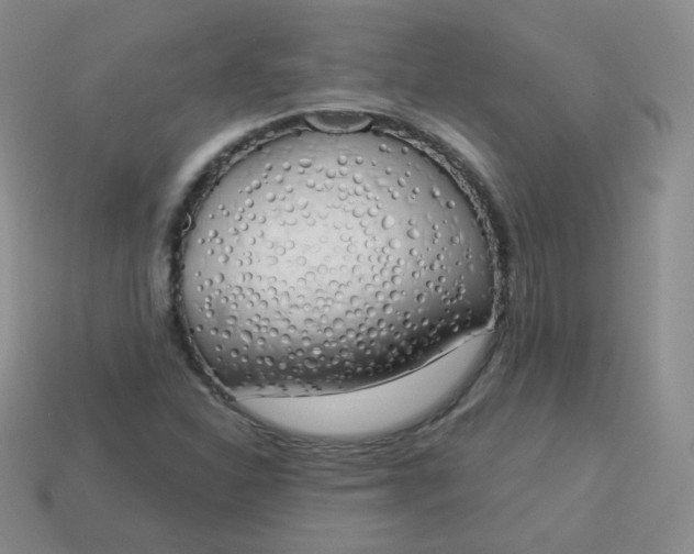 X0000114001310200910161700