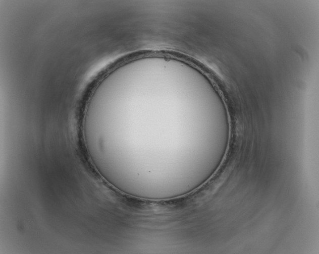 X0000114001311200910161700