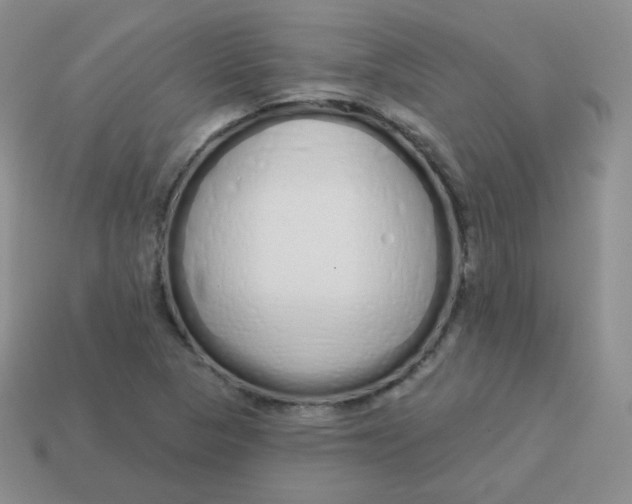 X0000114001313200910161700