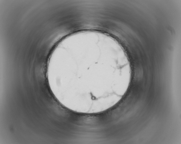X0000114001314200910161700