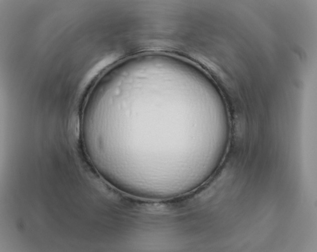 X0000114001317200910161700