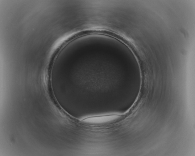 X0000114001319200910161700