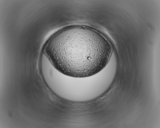 X0000114001320200910161700