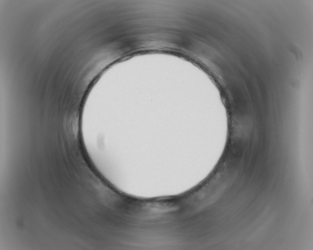 X0000114001322200910161700