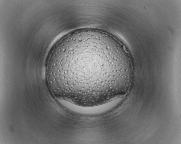 X0000114001324200910161700